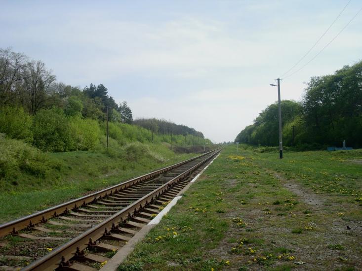 Шевченка з panoramio.com - Шевченко