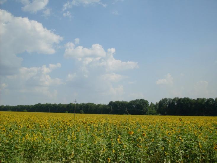 Косанове з panoramio.com - Косанове