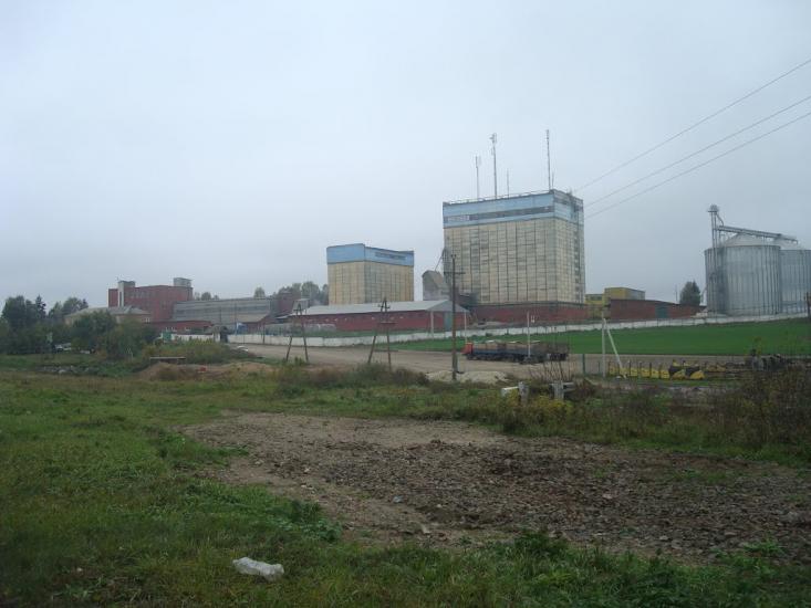 Буйволівці з panoramio.com - Буйволівці