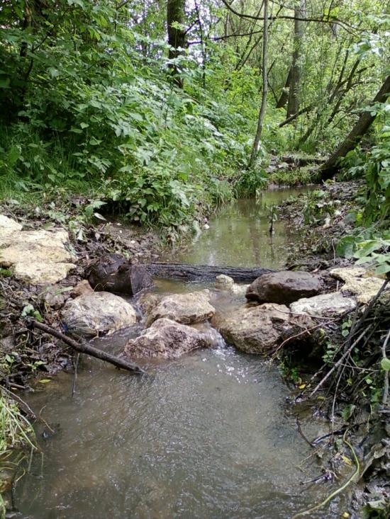 Великі Глібовичі з panoramio.com - Великі Глібовичі