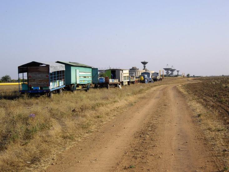 Вітине з panoramio.com - Витино