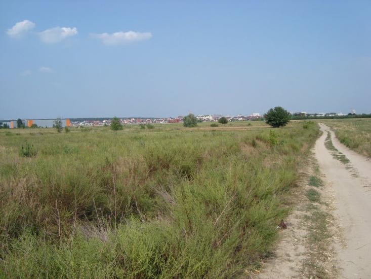 Петрівське з panoramio.com - Петрівське
