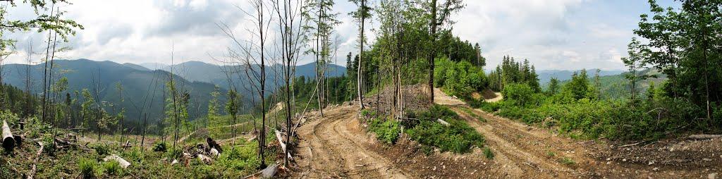 Кам'янка з panoramio.com - Каменка