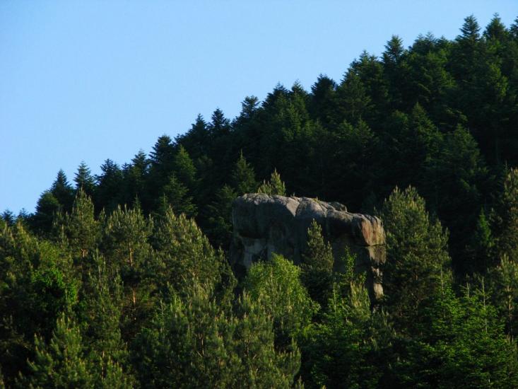 Бусовисько з panoramio.com - Бусовиско