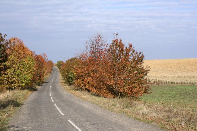 Верхівка з panoramio.com - Верховка