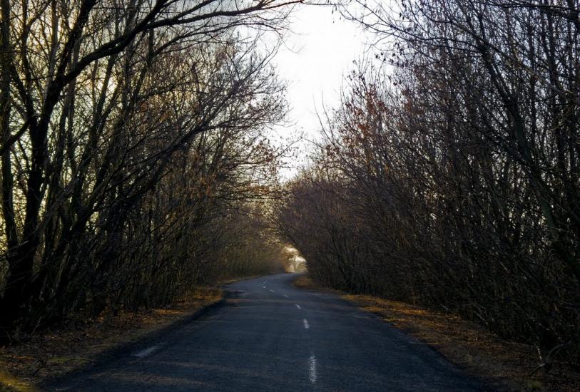 Золота Поляна з panoramio.com - Золота Поляна