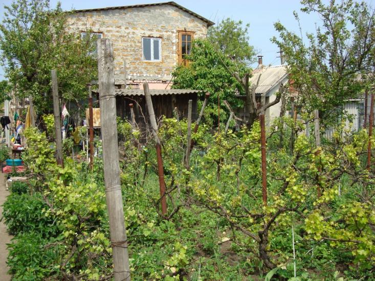 Переможне з panoramio.com - Peremozhne