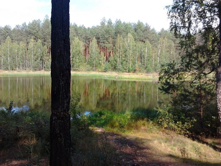 Долина з panoramio.com - Долина