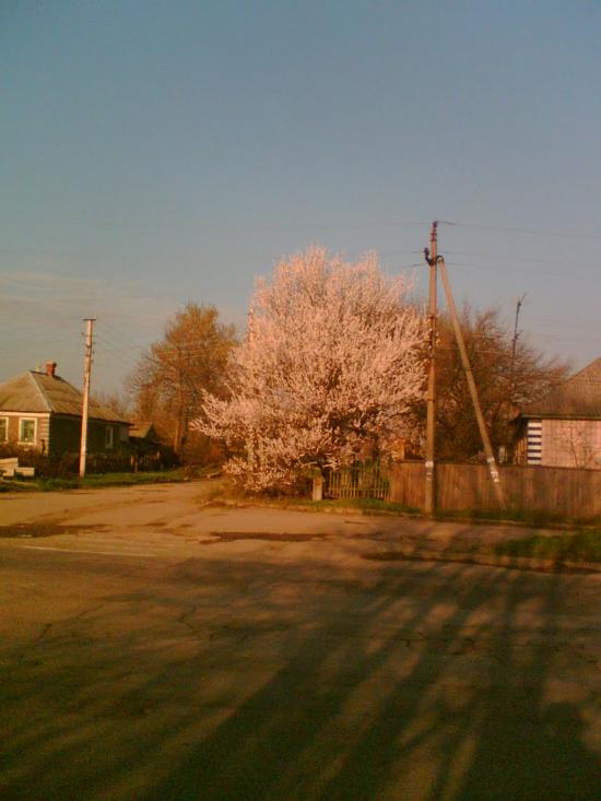 Дзержинське з panoramio.com - Дзержинське