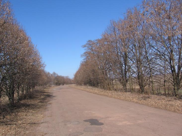 Петрушин з panoramio.com - Петрушин