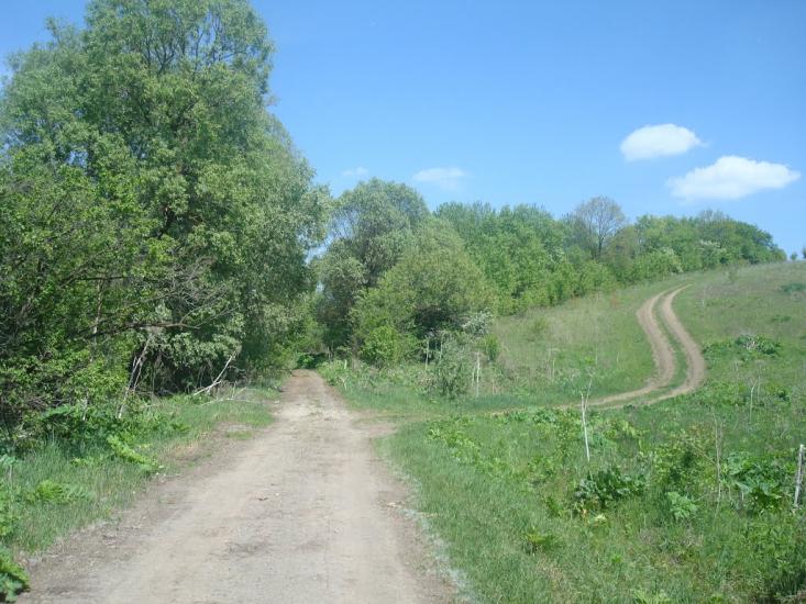 Мацьківці з panoramio.com - Мацьківці