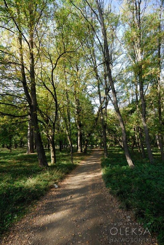 Каштанове з panoramio.com - Каштановое