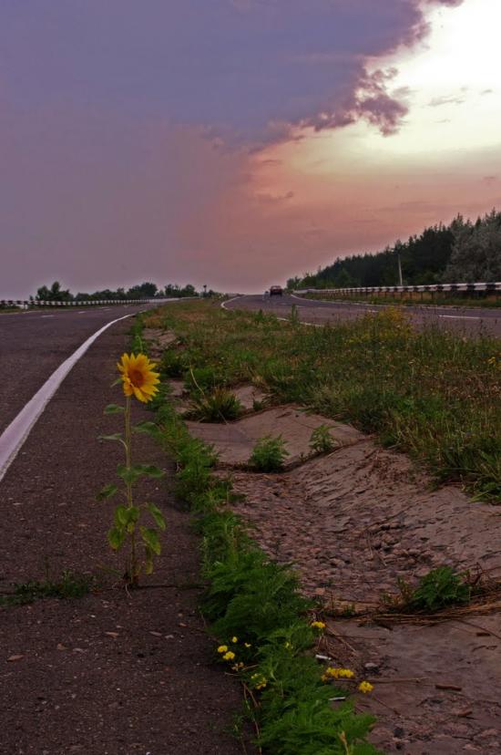 Щастя з panoramio.com - Счастье