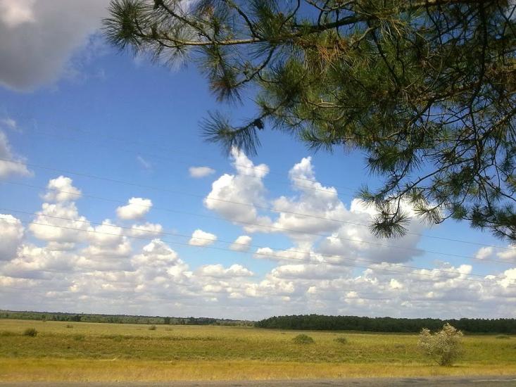 Піщанівка з panoramio.com - Песчановка