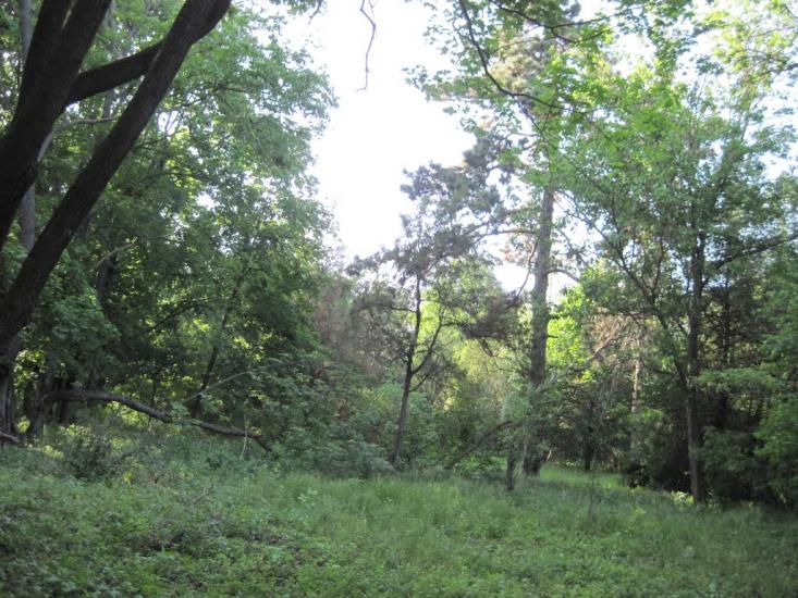 Бабичівка з panoramio.com - Бабичівка