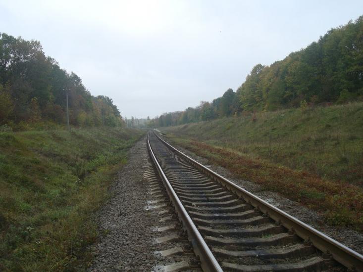 Буйволівці з panoramio.com - Буйволівці