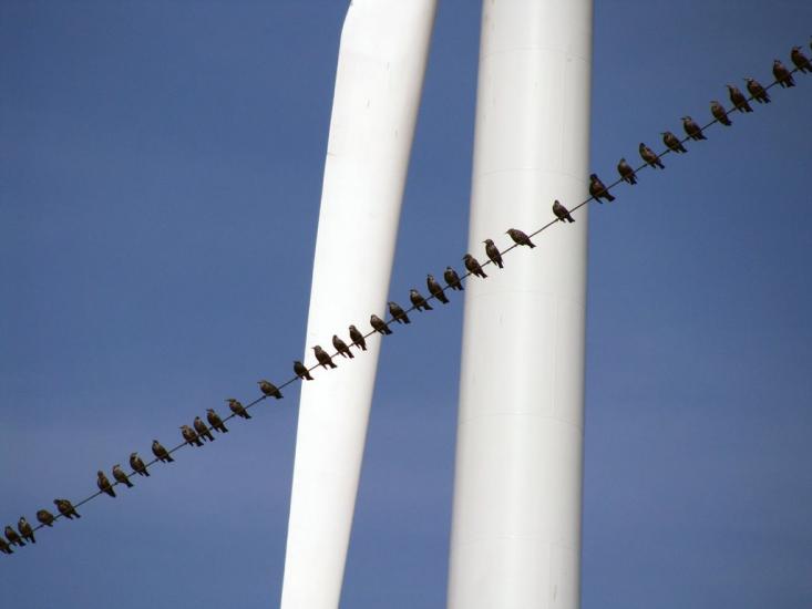 Криловка з panoramio.com - Криловка