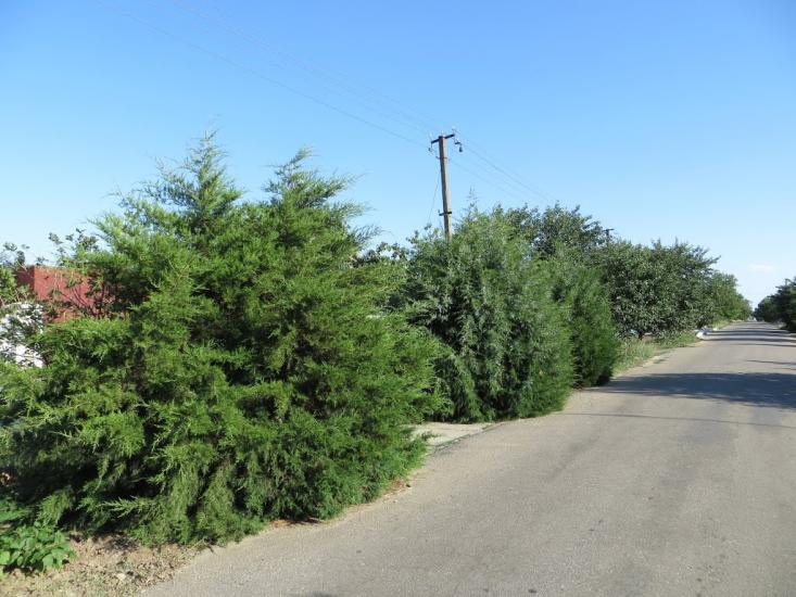 Придорожнє з panoramio.com - Придорожное
