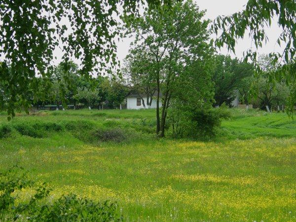 Корчів з panoramio.com - Корчів