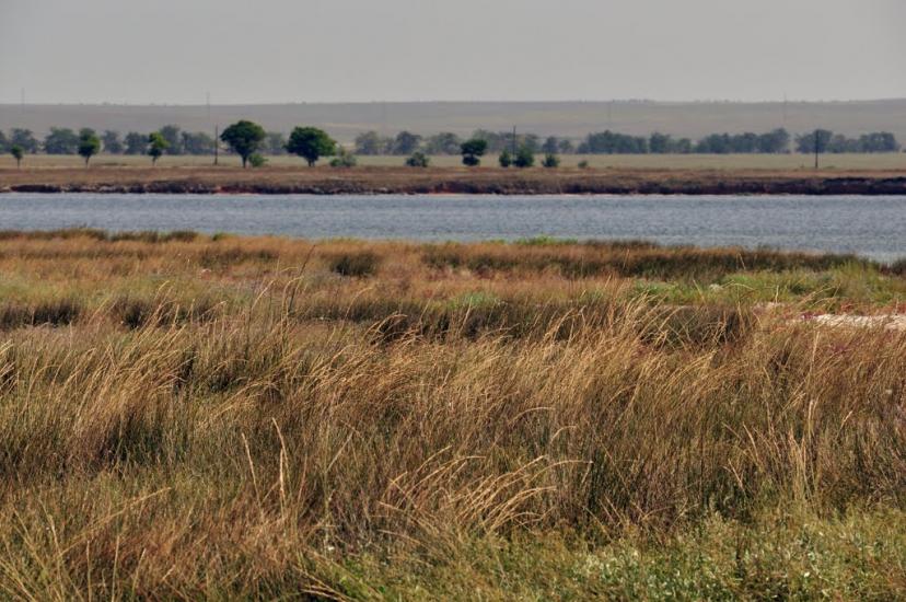 Сніжне з panoramio.com - Снежное