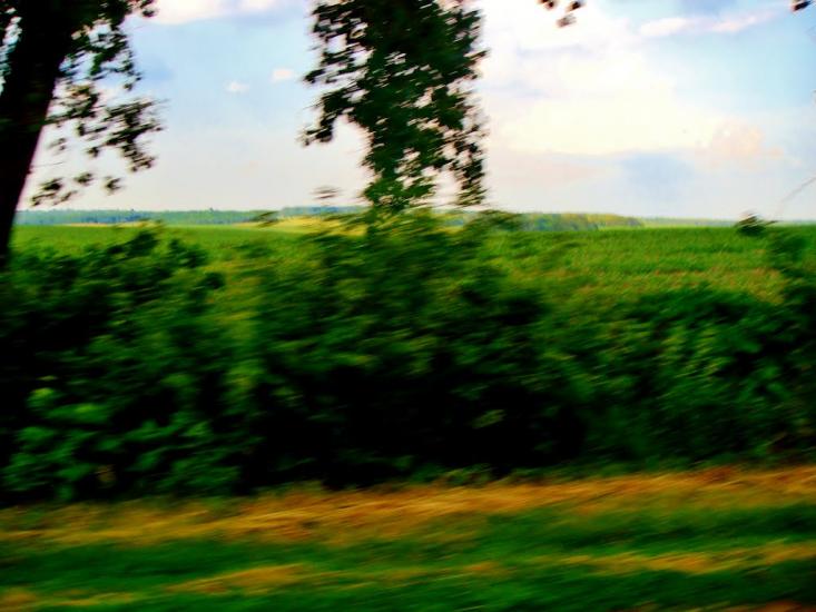 Медвин з panoramio.com - Медвин