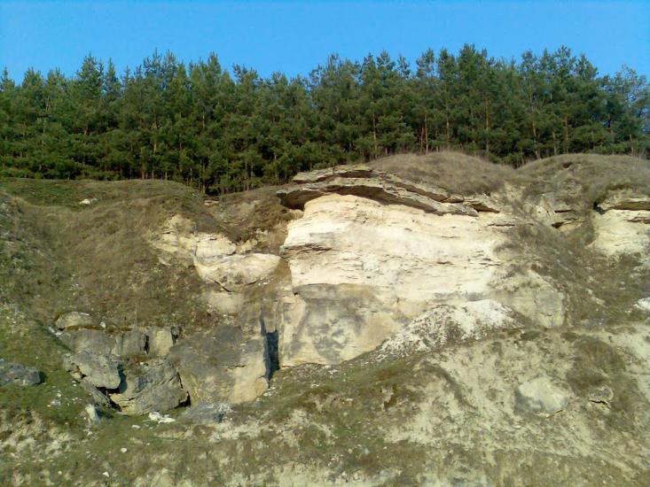 Віньківці з panoramio.com - Виньковцы