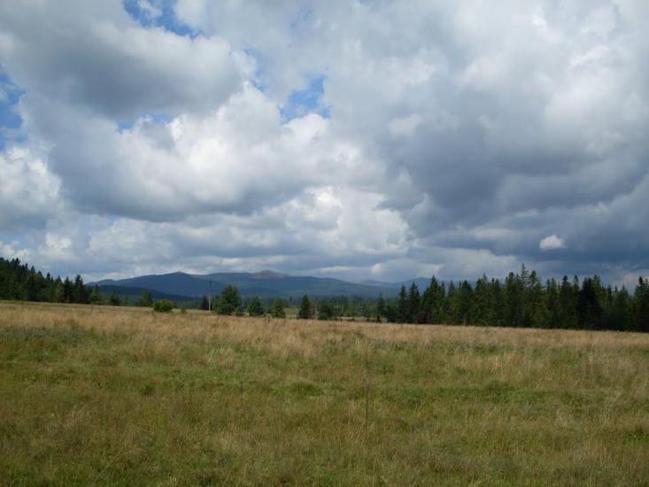Сянки з panoramio.com - Сянки