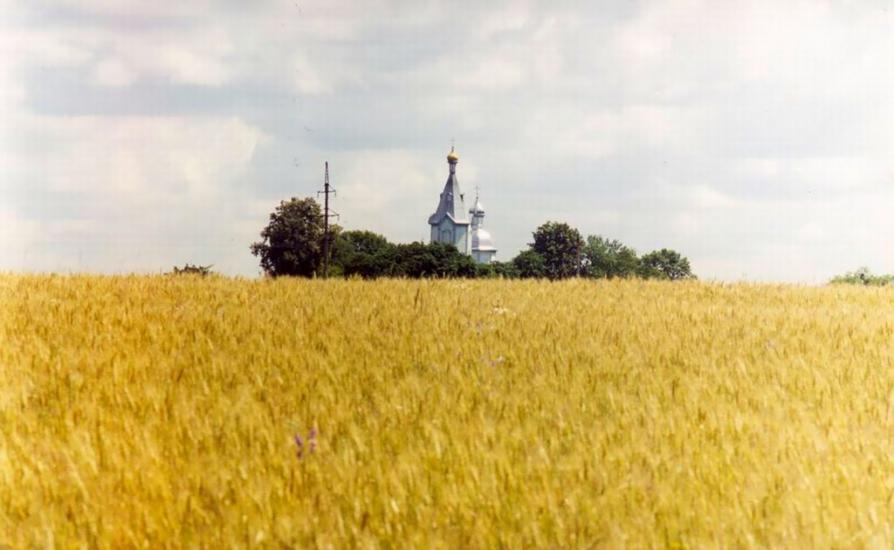 Скоморохи з panoramio.com - Скоморохи