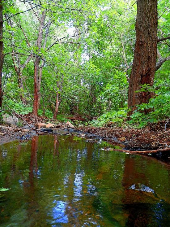 Комсомолець з panoramio.com - Комсомолец