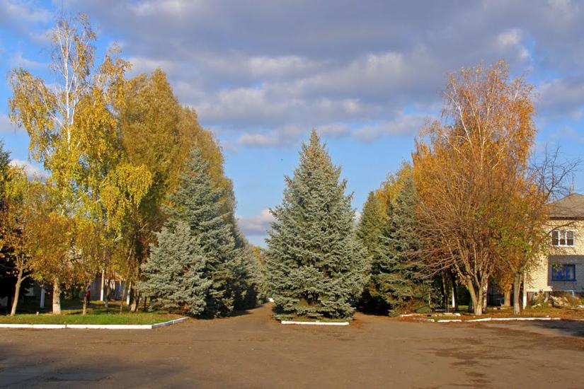 Білокуракине з panoramio.com - Білокуракине