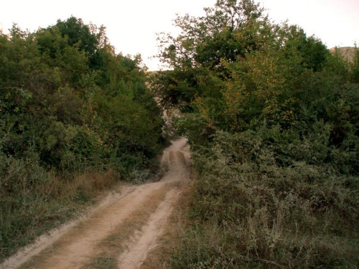 Баштанівка з panoramio.com - Баштанівка