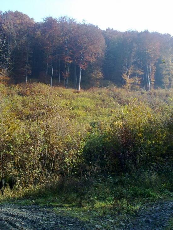 Ворочово з panoramio.com - Ворочево