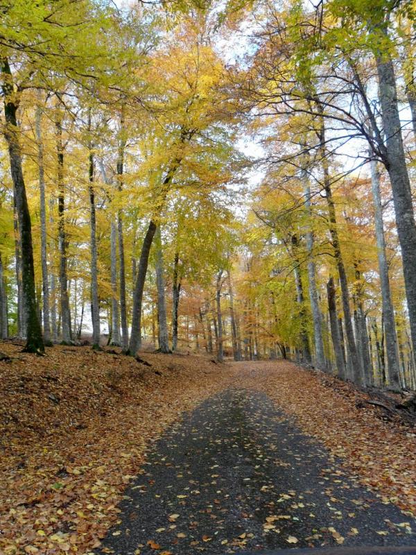 Підгородне з panoramio.com - Подгороднее