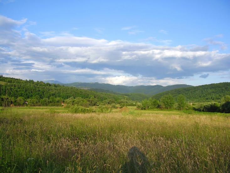 Павлово з panoramio.com - Павлово