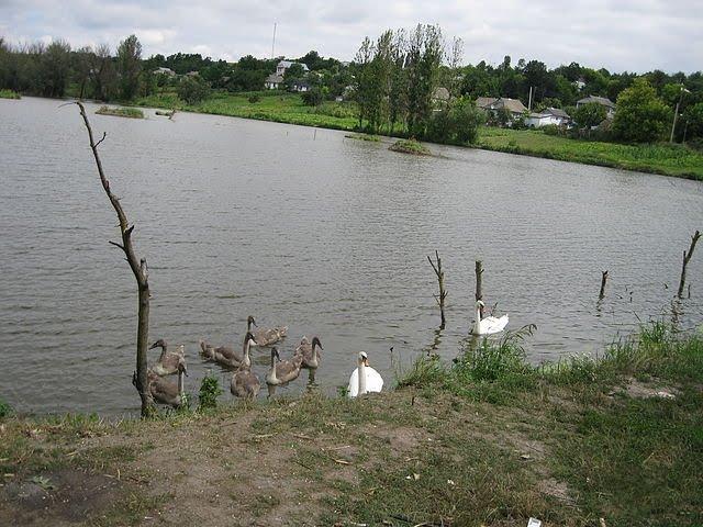 Джурин з panoramio.com - Dzhuryn