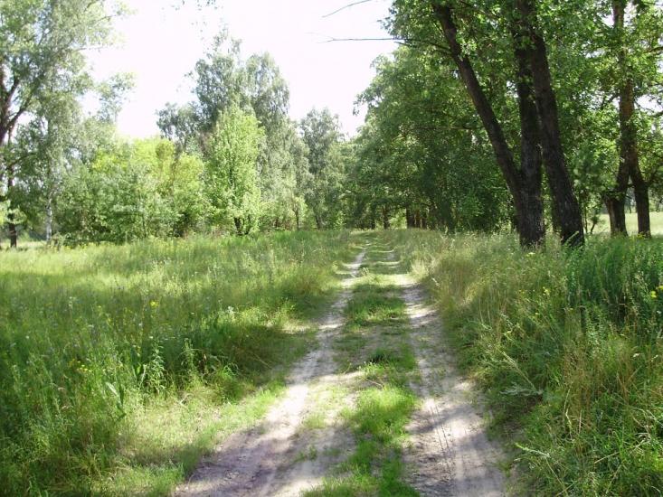 Остроушки з panoramio.com - Остроушки