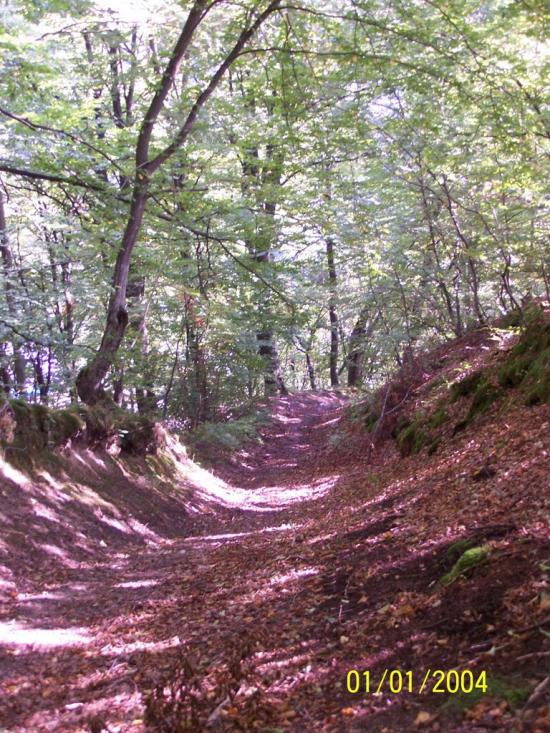 Старе Село з panoramio.com - Старое Село
