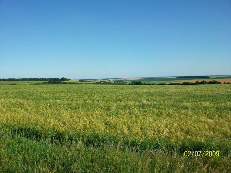 Маньківка з panoramio.com - Маньківка