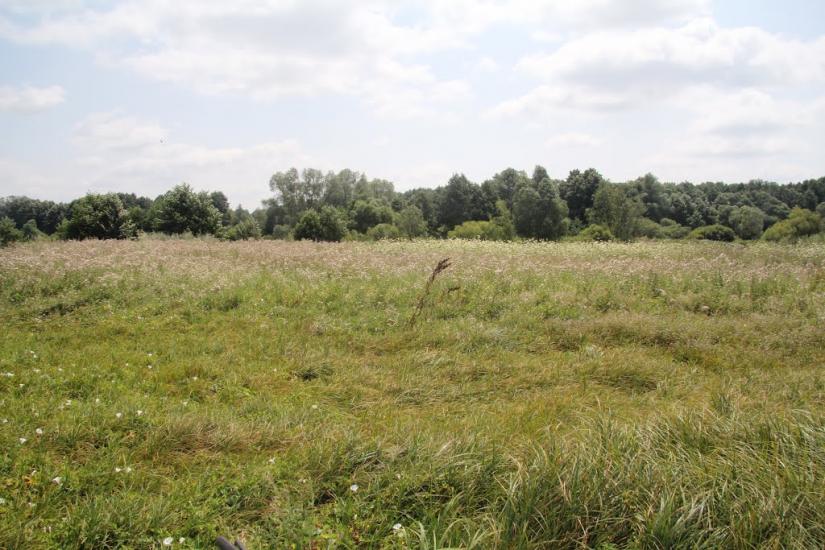 Шилівка з panoramio.com - Шилівка