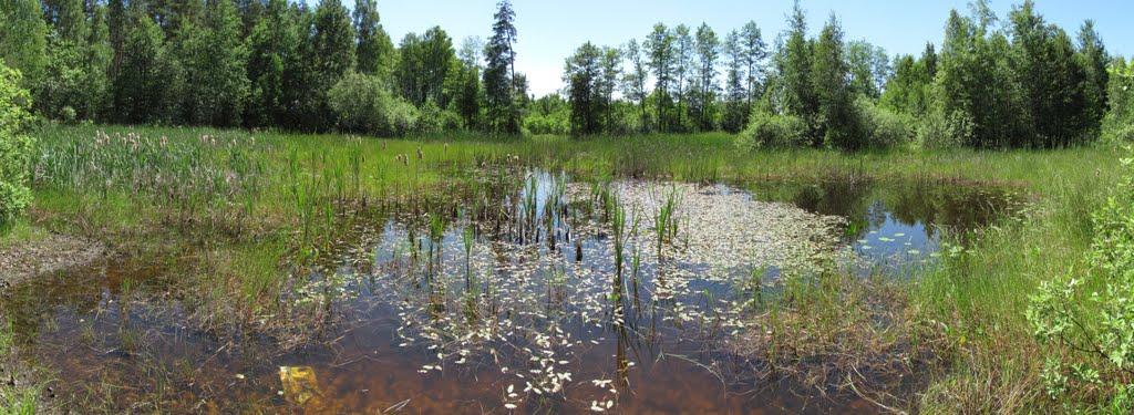 Болярка з panoramio.com - Болярка