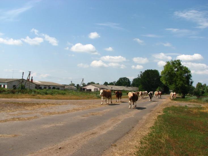 Халявин з panoramio.com - Халявин