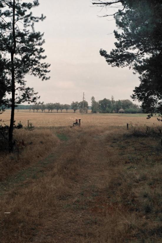 Шведчина з panoramio.com - Шведчина