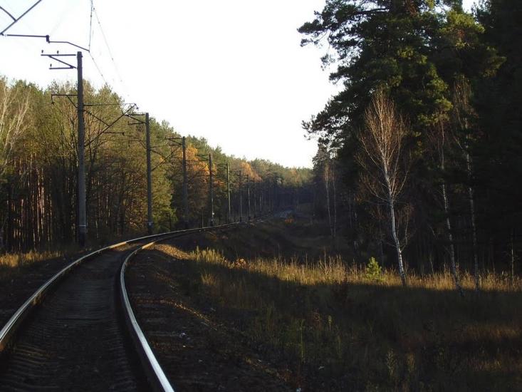 Княжичі з panoramio.com - Княжичі