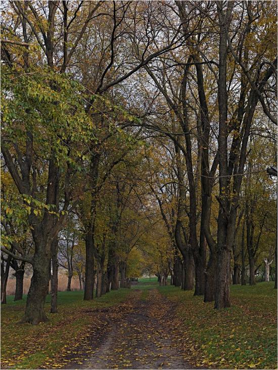 Новоіванівка з panoramio.com - Новоивановка