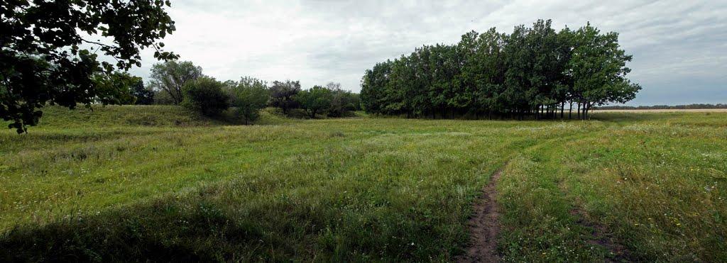 Глеюватка з panoramio.com - Глееватка