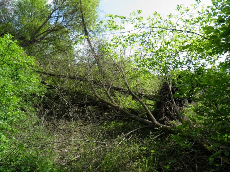 Єньків з panoramio.com - Еньков