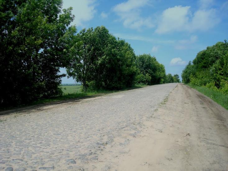 Черепова з panoramio.com - Черепова