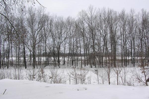 Коротич з panoramio.com - Коротыч