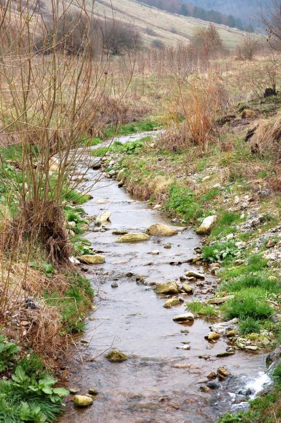 Сокілець з panoramio.com - Соколец
