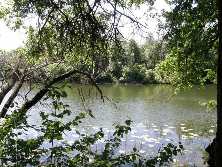 Пришиб з panoramio.com - Пришиб